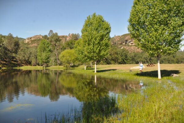 Paso del Rio Fishing (2)